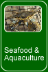 Seafood and Aquaculture