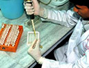 A scientist testing the quality of medicines in a laboratory