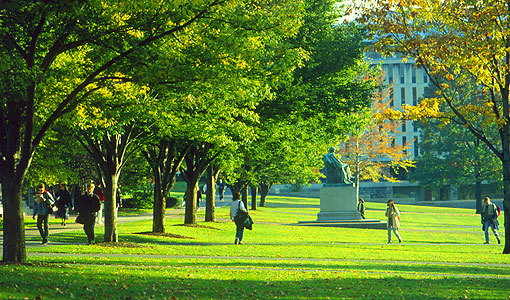 Green grass, trees, and students on the Arts Quad