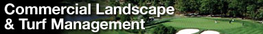 Commercial Landscape & Turf Management