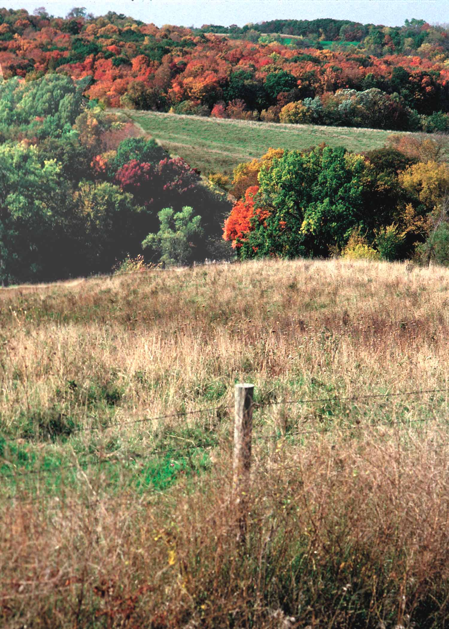 Healthy forest land in Iowa. The Healthy Forests Reserve Program produces a bounty of environmental, public health, and economic benefits for people, ecosystems, and communities. The public has an opportunity to comment on the latest proposed rule for this important program.