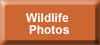 to wildlife photos page