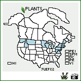 Distribution of Juncus effusus L. var. conglomeratus (L.) Engelm.. . Image Available. 