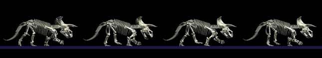 Walk sequence of the virtual Triceratops