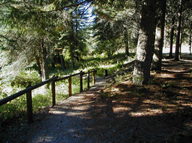 The path from the arboretum which leads to the memorial plaque.