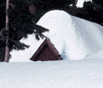 building buried in snow