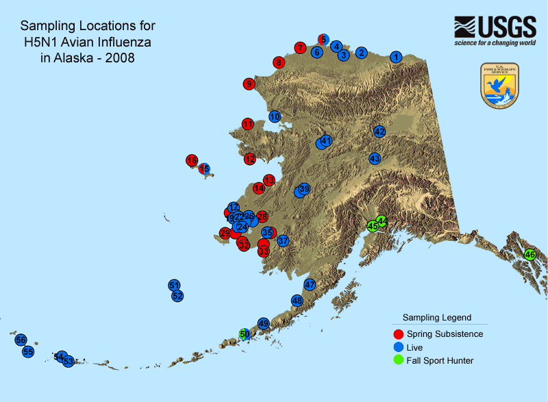 Sampling locations for H5N1 Avian Influenza in Alaska in 2008