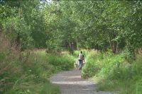 Picture of hiker on trail at Campbell Tract 