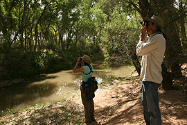 two birders at river's edge, looking through binoculars.