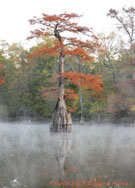 Buck Lake in November. Credit: Richard Hines