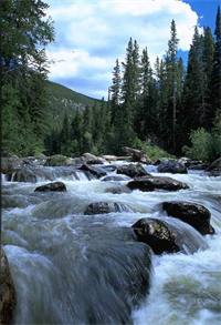 Cache La Poudre