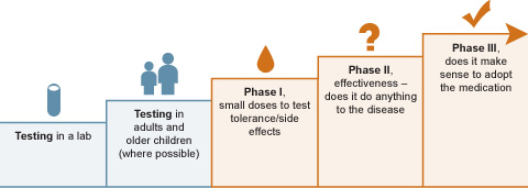 This figure visually represents the concept that there are stages of clinical research. The first stage represented is testing in a lab (biochemistry), followed by testing in animals, followed by testing in adults and older children (where possible). The next stages are: Phase I clinical studies (small doses to test tolerance/side effects), phase II studies to test effectiveness (does it do anything to the disease) and phase III studies (does it make sense to adopt the medication).