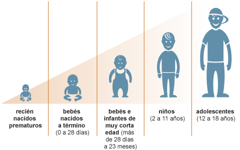 Las etapas de crecimiento varían desde recién nacidos prematuros, a bebés nacidos a término (0 a 28 días), a bebés e infantes de muy corta edad (más de 28 días a 23 meses), a niños de 2 a 11 años, a adolescentes de 12 a 18 años.