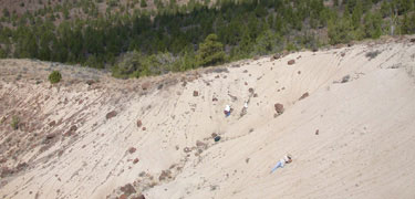 Image of paleontologists doing field work.