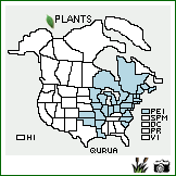 Distribution of Quercus rubra L. var. ambigua (A. Gray) Fernald. . Image Available. 