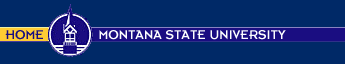 Montana State University Homepage