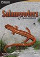 Image: Salamanders of Indiana cover
