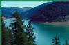 [photo]. A picture of Shasta Lake - The lake can be seen through trees in the forground.  The hills in the background are a shade of blue.