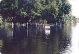 Myakka River – the last natural river in Sarasota County