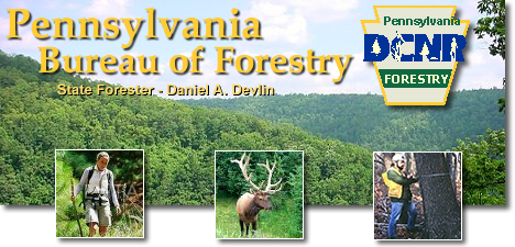 The Pennsylvania Bureau of Forestry - Forest covered hills with images of a hiker, an elk, and a forester