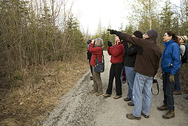 group of people on a path, looking and pointing toward the trees