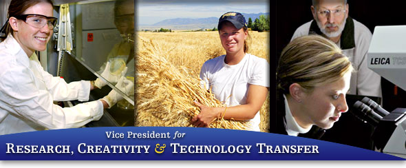Vice President for Research, Creativity, & Technology Transfer
