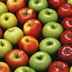 apples arranged in arching rows by color