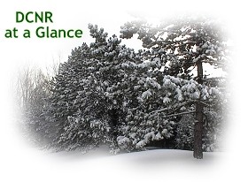 DCNR at a Glance