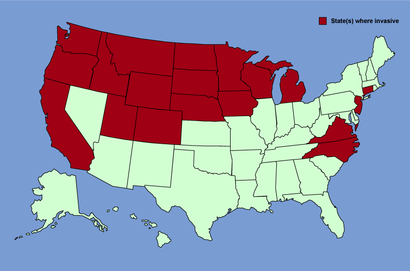 Distribution map of Euphorbia esula