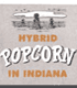 Hybrid Popcorn in Indiana