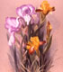 Wildflower Watercolor Painted by Passmore 