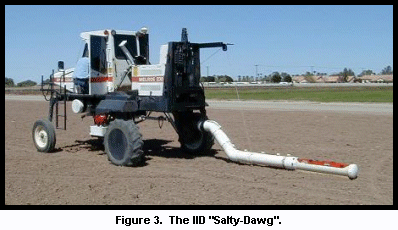 The IID MSCA Salty-Dawg