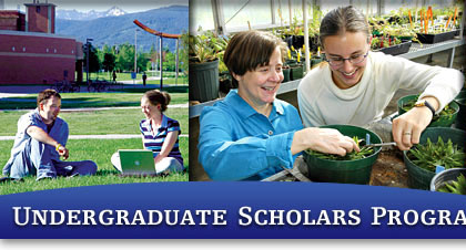 Undergraduate Scholars Program