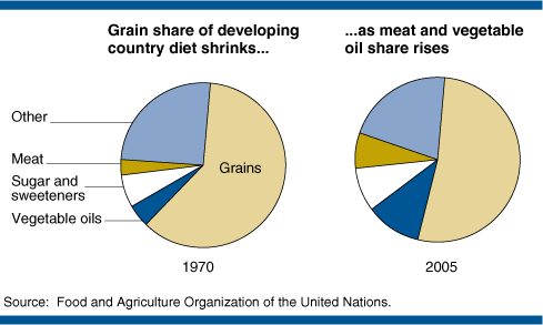 Two pie charts showing that the grain share of developing country diet shrunk from 1970 to 2005 while meat and vegetable oil share rose