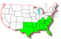 The Southern US