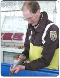 Jay Bigelow with Lahontan cutthroattrout at Lahontan National Fish Hackery. [FWS Photo: Robert Pos]