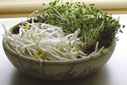 photo of a bowl of sprouts