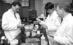 photo of 3 scientists in a lab