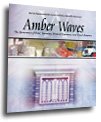 February 2004  issue of AmberWaves