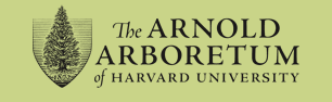 The Arnold Arboretum of Harvard University