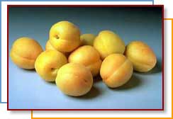 Photo of apricots