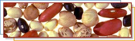 Photo of dried beans