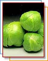 Photo of brussel sprouts