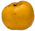 photo of an asian pear