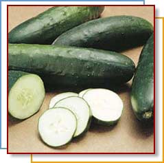 Photo of cucumbers