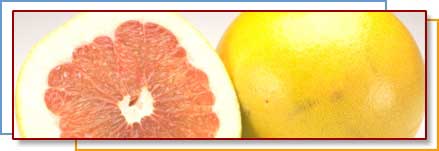 Photo of grapefruit