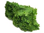 Photo of Looseleaf lettuce type