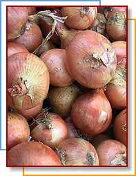 Photo of whole onions