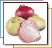 Photo of assorted onions