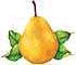 Yellow Bartlett pear